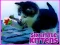 Jwèt Six Little Kittens sou entènèt