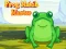 Jwèt Frog Match Master sou entènèt
