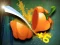 Jwèt Veggie Slicer sou entènèt