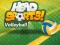 Jwèt Head Sports Volleyball sou entènèt