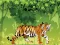 Jwèt Angry Tiger Coloring sou entènèt