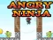 Jwèt Angry Ninja sou entènèt