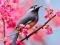 Jwèt Lovable Birds sou entènèt