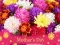 Jwèt 2019 Mother's Day Puzzle sou entènèt