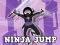 Jwèt Ninja Jump sou entènèt