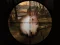 Jwèt Classical Rabbit Sniper Hunting 2019 sou entènèt