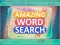 Jwèt Amazing Word Search sou entènèt