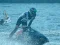 Jwèt Power Boat Racing 3D sou entènèt
