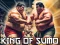 Jwèt King Of Sumo the ultimate brawl sou entènèt