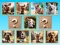 Jwèt Doggie Duo Discoveries sou entènèt