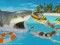 Jwèt La Shark sou entènèt