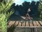 Jwèt Bike Trial Xtreme Forest sou entènèt