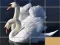 Jwèt Animals Slide Puzzle sou entènèt