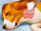 Jwèt Dog Hospital sou entènèt