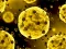 Jwèt Coronavirus Slide sou entènèt