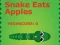 Jwèt Snake Eats Apples sou entènèt