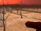 Jwèt Wasteland Shooters sou entènèt