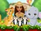 Jwèt Moana Cute Zoo sou entènèt