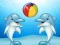Jwèt Dolphin Show sou entènèt