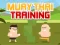 Jwèt Muay Thai Training sou entènèt