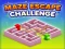Jwèt Maze Escape Challenge sou entènèt