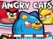 Jwèt Angry Cats sou entènèt