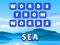 Jwèt Words from words: Sea sou entènèt