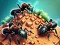 Jwèt Ant Colony sou entènèt