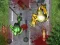 Jwèt Crush The Zombies sou entènèt