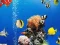 Jwèt Sea Underwater Difference sou entènèt