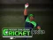 Jwèt Cricket Fielder Challenge sou entènèt