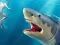 Jwèt Shark Hunting sou entènèt