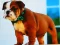 Jwèt Bulldog Puppy Puzzle sou entènèt