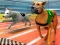 Jwèt Dogs 3D Races sou entènèt