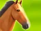 Jwèt Horse Run 3D sou entènèt