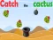 Jwèt Catch The Cactus sou entènèt