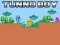 Jwèt Tunno Boy sou entènèt