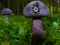 Jwèt Mushroom Forest Adventure sou entènèt