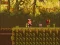 Jwèt The Lost Forest sou entènèt