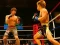 Jwèt MMA Fighters Jigsaw sou entènèt