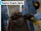 Jwèt Emperor Penguin Jigsaw sou entènèt