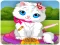 Jwèt Vet Cat Clinic sou entènèt
