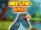 Jwèt Meet The Birds sou entènèt