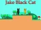 Jwèt Jake Black Cat sou entènèt