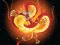 Jwèt Chinese Dragons Coloring sou entènèt