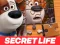 Jwèt The Secret Life of Pets Jigsaw Puzzle sou entènèt