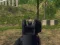 Jwèt Army Shooter sou entènèt