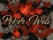 Jwèt Poker Web sou entènèt