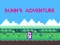 Jwèt Bunn's Adventure sou entènèt