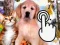 Jwèt Pets Clicker sou entènèt